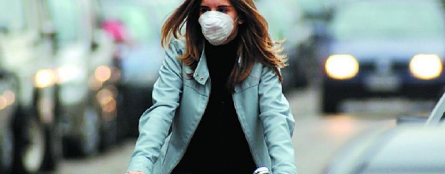 smog bis
