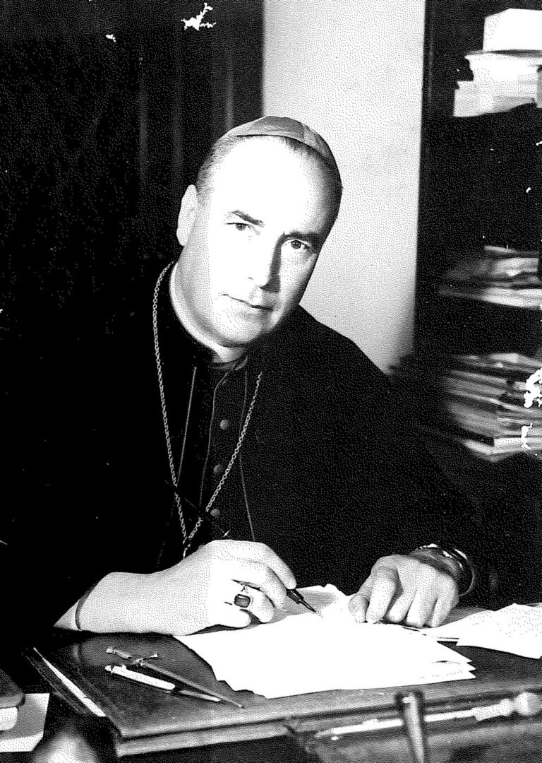 dioc3 olivotti