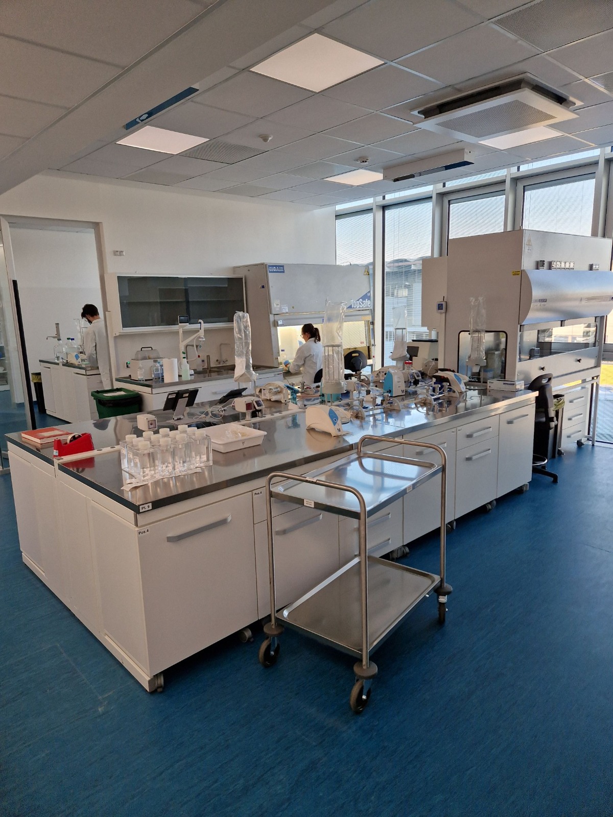 veritas laboratorio acqua