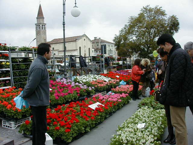 Oriago in fiore 2000