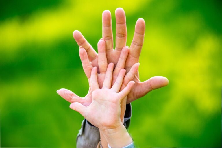 The palms of the family. Father, mother and child.