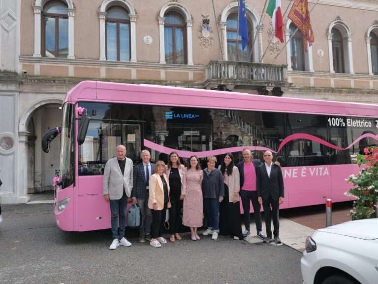 bus rosa