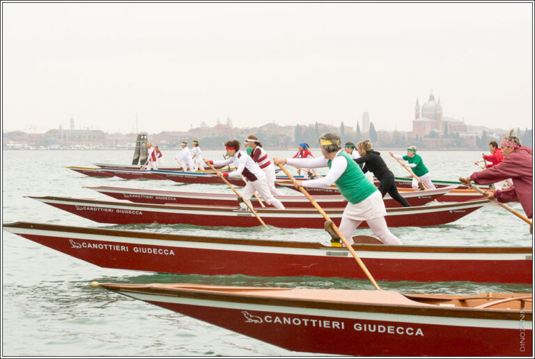 web regata