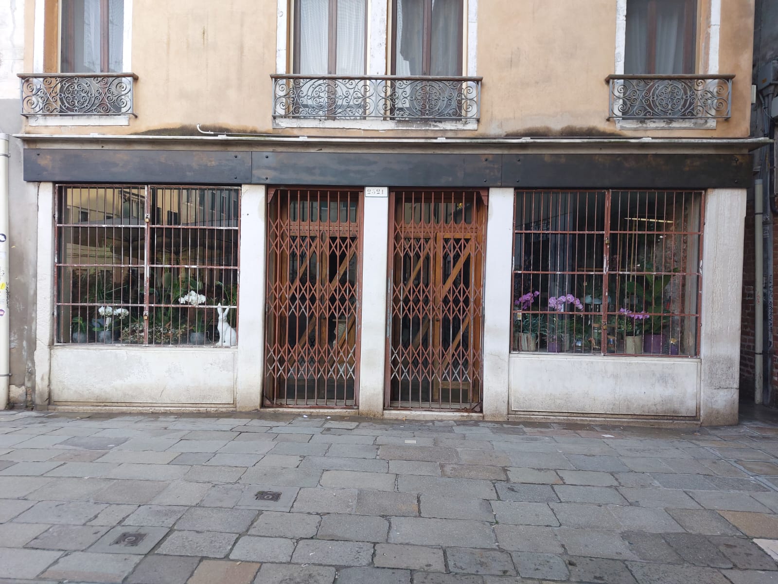 ven4 fiori