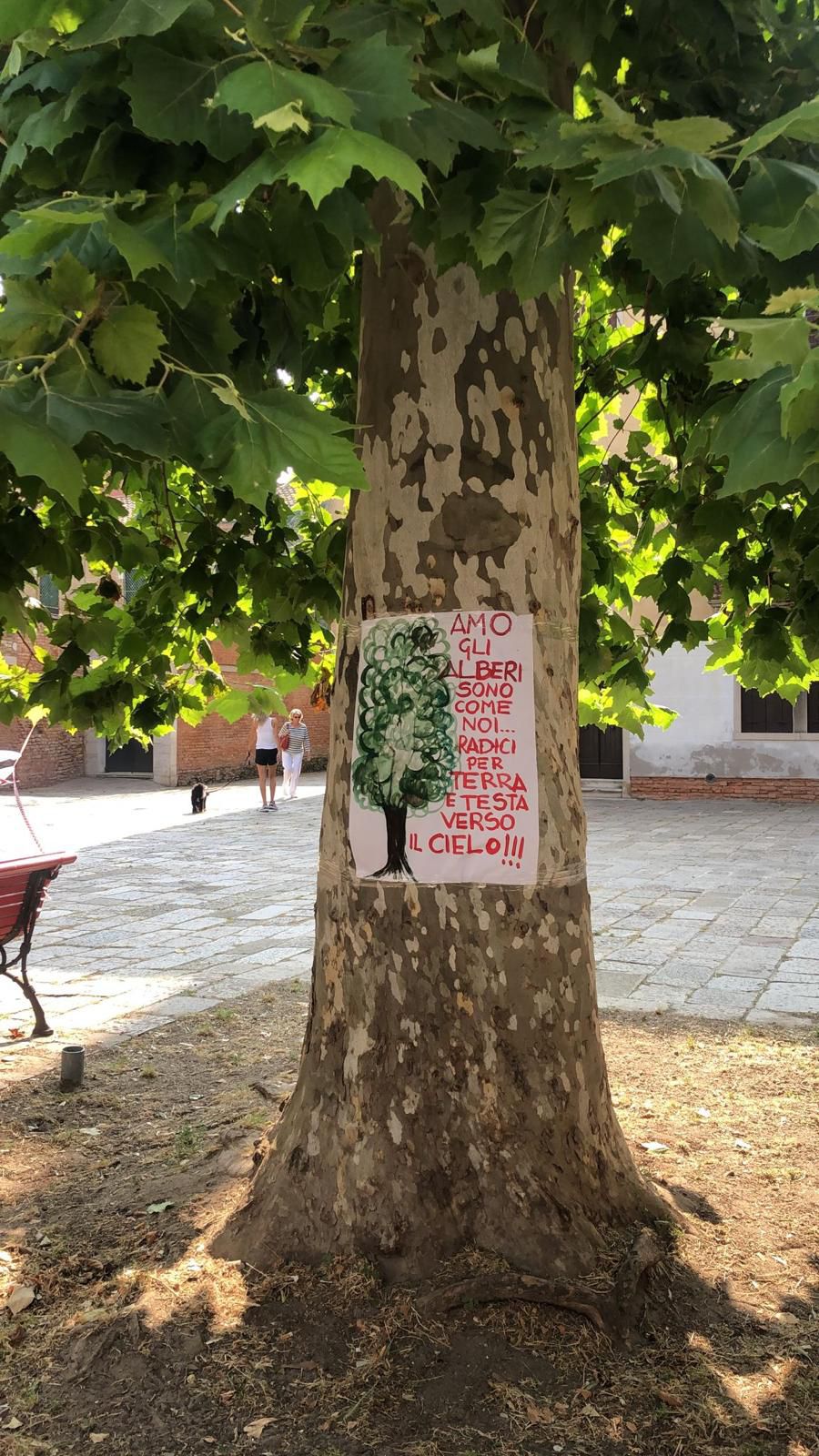alberi due