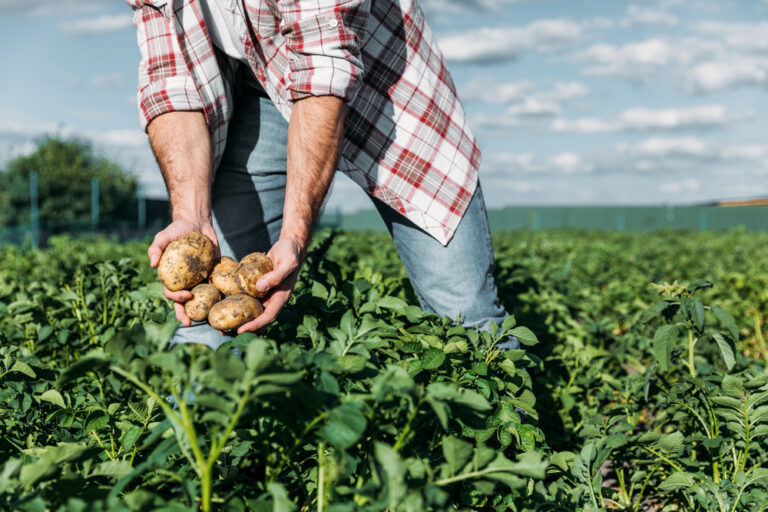 Agricoltura