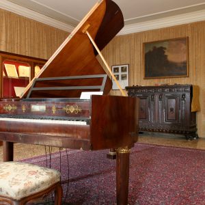 Museo Wagner (2)