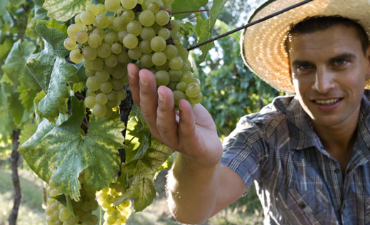agricoltore-giovane-5201