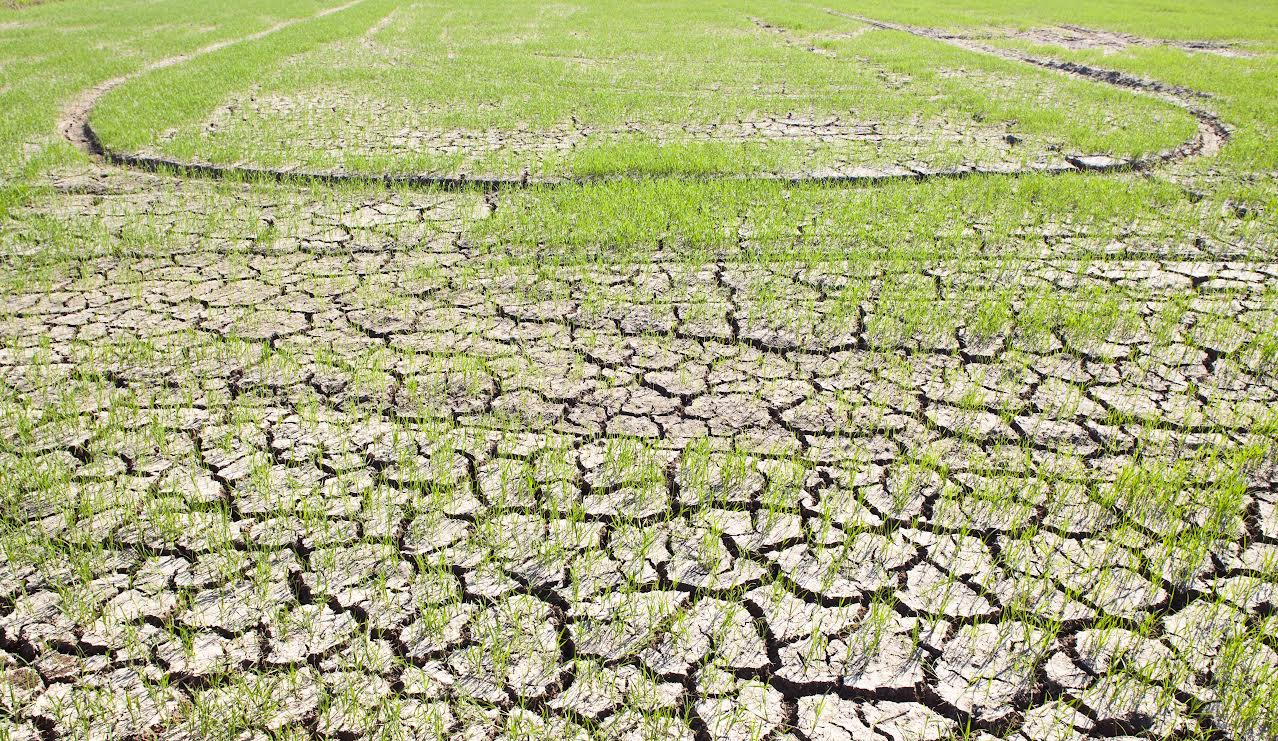 Clima in Veneto, aprile il più caldo degli ultimi 30 anni: è allarme siccità