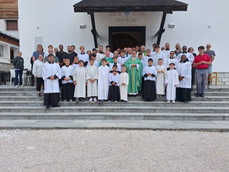 dioc2 campo