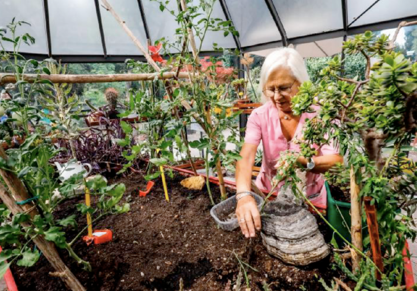 Screenshot 2026-09-18 alle 16.52.09